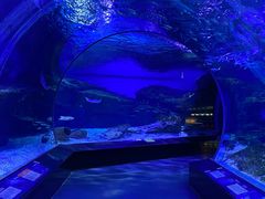 -海合安武汉极地海洋公园