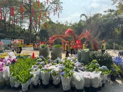 -晓港公园
