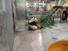 -西安秦岭野生动物园