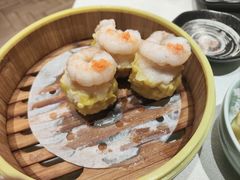 -满乐潮州(深业上城店)