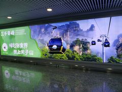 -张家界荷花国际机场