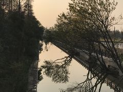 -上海长兴岛郊野公园