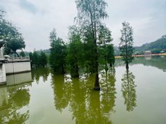 -顺峰山公园