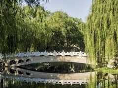 -北坞公园