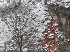 -陕西省红河谷森林公园