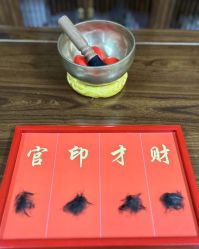 -雪绒花月子会所(万安店)