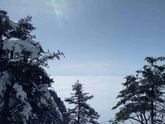 -秦岭天竺山景区