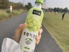 -嘉北郊野公园