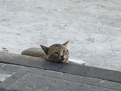 -三点小吃(山大店)