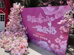 -石岛赤山风景区