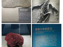 -重庆欢乐海底世界