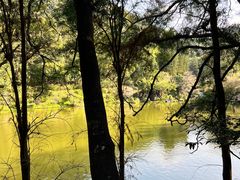 -深圳仙湖植物园
