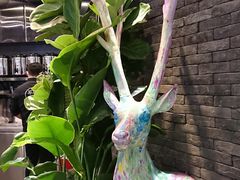 -茶理宜世(东方宝泰店)