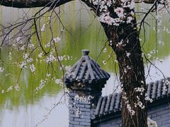 -桃花堤公园