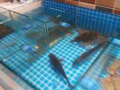 -妈妈菜舟山海鲜(定海古城店)