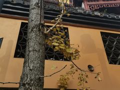 -狼山风景名胜区