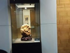 android_upload_pic-中华赏石园