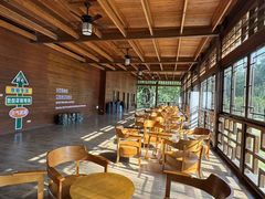 -东南花都花博园