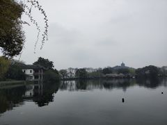 -西湖外事游船(花港观鱼码头)