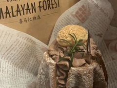 -喜马拉雅森(运河汇1958店)
