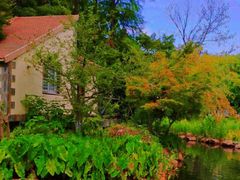 -上海共青森林公园