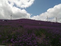 -贵州云顶草原民族风情园