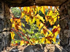 -龙潭生态旅游度假区