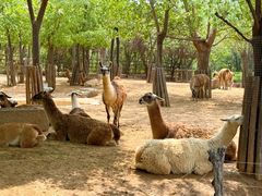 -济南野生动物世界