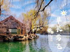 -颐和园