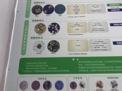 -创凡宠物医院·骨专科  猫科中心(西乡分院)