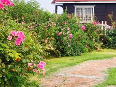 -武汉紫薇都市田园