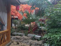 -老山东·山东菜(鲁菜名店)