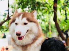 -TrueLove @ Neverland (Husky Cafe)