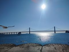 -星海广场