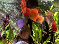 -上海海洋水族馆