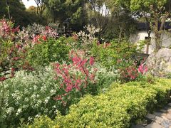 -南汇桃花村