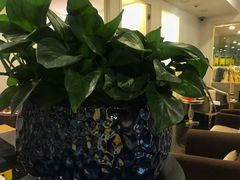 -潮童星少儿模特时尚中心(黄浦博荟广场店)