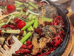 -老板恋上鱼(印象城店)