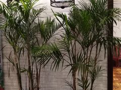 景观位-湾里人家(旺山景区店)