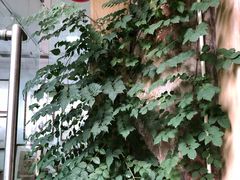 -三峡古玩城(泰古广场店)