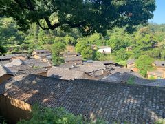 -杨家堂村