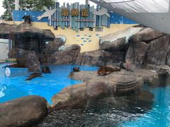 -海合安成都极地海洋公园