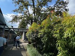 -九龙湾·御膳坊(九龙窠路店)