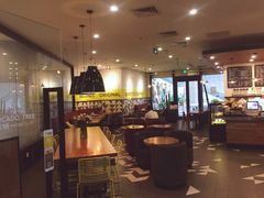 大堂-油梨树 AVOCADO TREE(亮马桥店)