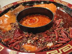 -蜀辣居鲜货老火锅(万象城店)