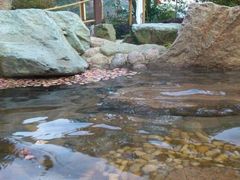 -黄山温泉国际旅游度假区