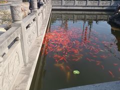 -会龙寺
