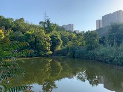 -张坝桂圆林公园