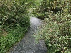 -桤木河湿地公园