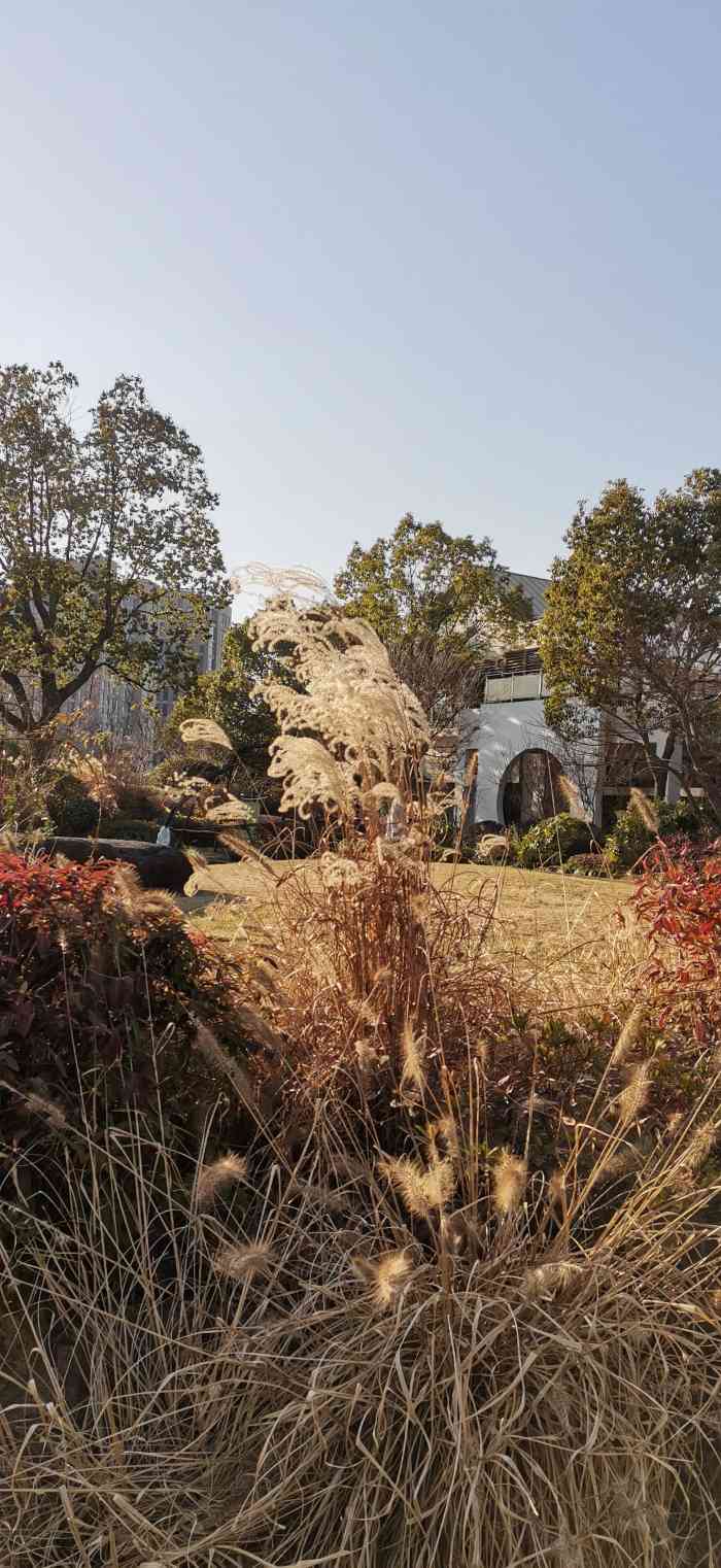 崇明新城公园-"崇明现在建设得很漂亮呢,骑行途中路过,精.